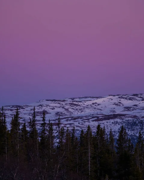 Piękny Pionowy Strzał Jasnego Różowego Nieba Nad Śnieżnymi Górami Drzewami — Zdjęcie stockowe