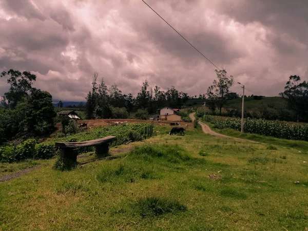 Campo Rural Sob Céu Nublado — Fotografia de Stock