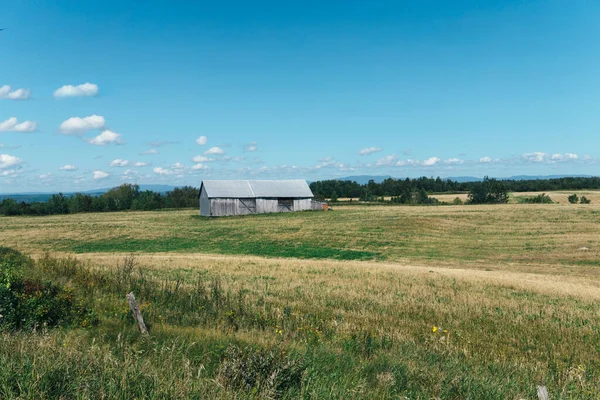 Een Klein Landelijk Huis Een Groot Veld Omringd Door Bomen — Stockfoto