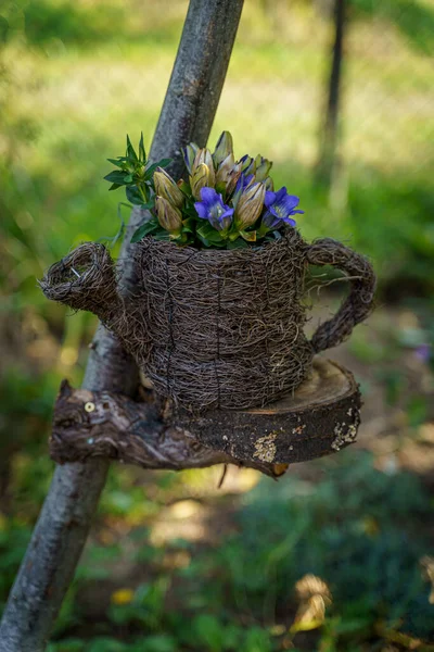 Closeup Shot Cute Flower Pot Sunlight — Fotografia de Stock
