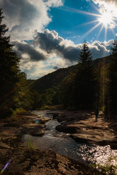 Een Verticaal Schot Van Een Rivier Gaand Door Bomen — Stockfoto