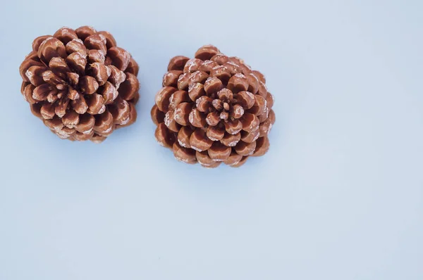 Closeup Shot Pine Cones Decorations Green Background — Stock Photo, Image