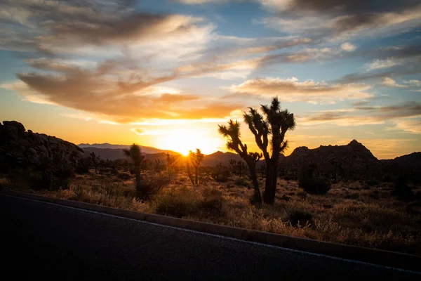 Захватывающий Вид Закат Пустынный Пейзаж Национальном Парке Джошуа Три Калифорния — стоковое фото