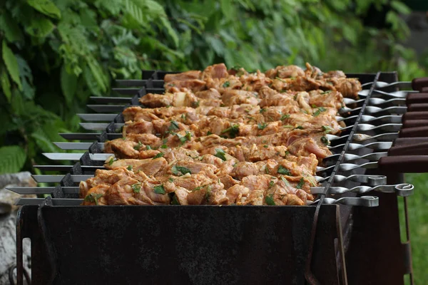 Primer Plano Una Barbacoa Cocinada Una Parrilla —  Fotos de Stock