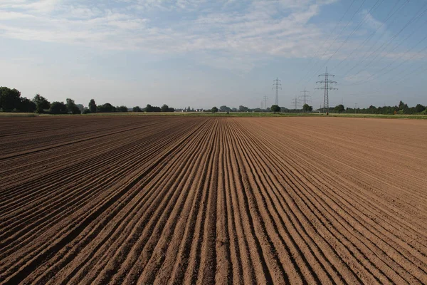 Primer Plano Campo Arado Árboles Vegetación Fondo —  Fotos de Stock