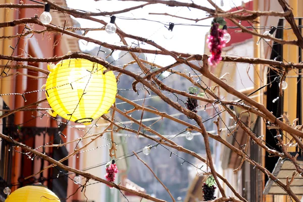 Beautiful Shot Paper Lantern Hanging Tree Branches Light Strings — 스톡 사진