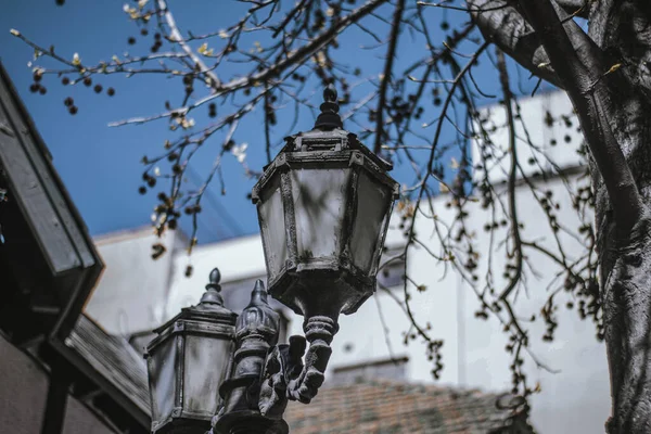 Een Oude Straatlamp Omringd Door Bloeiende Boomtakken — Stockfoto