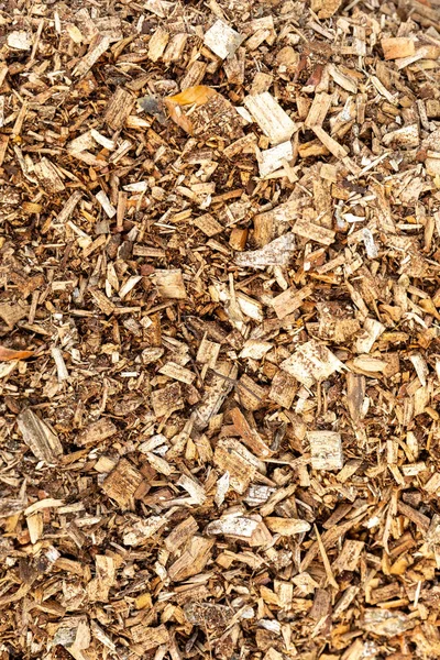 Vertical Shot Wood Chips Covering Ground Sunlight — Stock Photo, Image