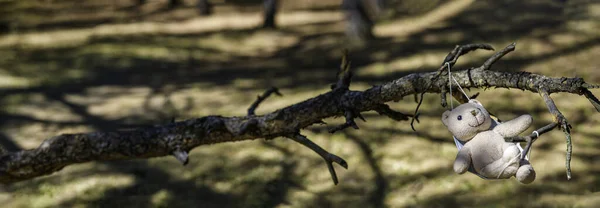 Nahaufnahme Eines Spielzeugbären Der Einem Ast Hängt — Stockfoto