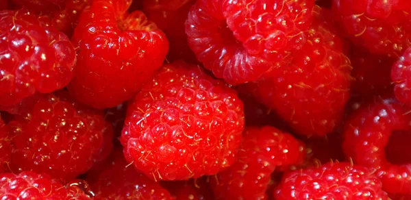 Closeup Panoramic Shot Raspberries — Stock Photo, Image