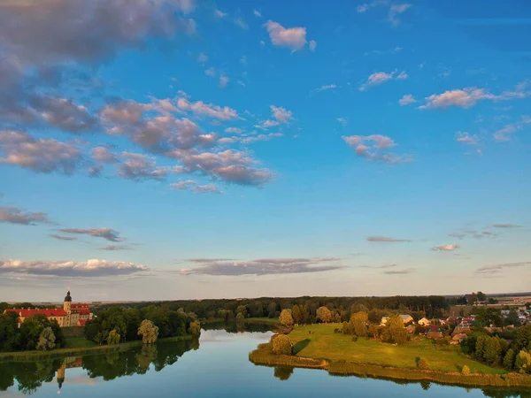 美しい曇天の下で緑に囲まれた湖の空中ショット — ストック写真