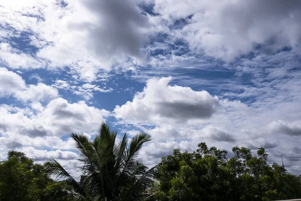Uma Vista Hipnotizante Céu Azul Com Nuvens Fofas Nascer Sol — Fotografia de Stock