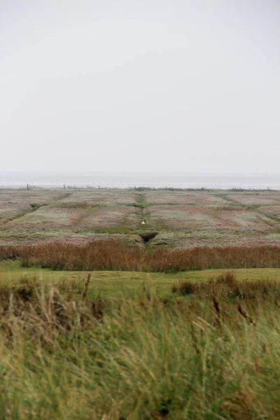 Juist Tyskland Sep 2013 Landskapet Och Naturen Den Norra Juist — Stockfoto