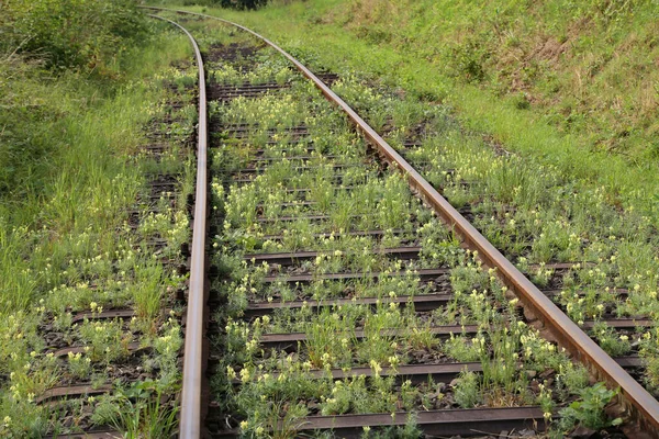 Een Close Van Een Oude Spoorweg — Stockfoto