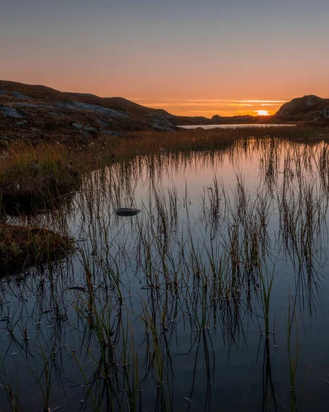 Силуетний Знімок Луків Покритий Водою Під Час Заходу Сонця — стокове фото