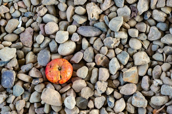 Top View Rotten Red Apple Rocks — Stock Photo, Image