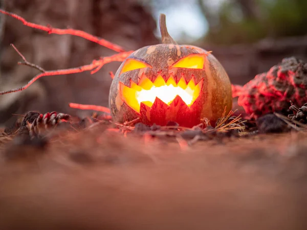 Primer Plano Una Calabaza Miedo Aligerar Desde Interior Para Una — Foto de Stock