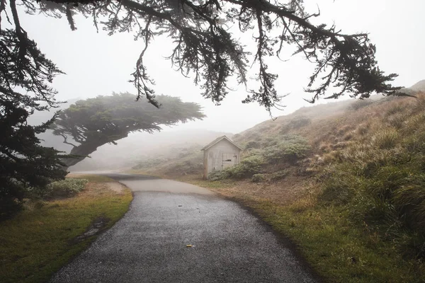 Gros Plan Une Route Menant Point Reyes National Seashore Californie — Photo