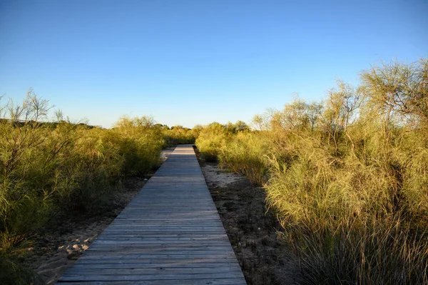 Eine Schöne Aufnahme Einer Natürlichen Landschaft Von Einem Holzweg Aus — Stockfoto