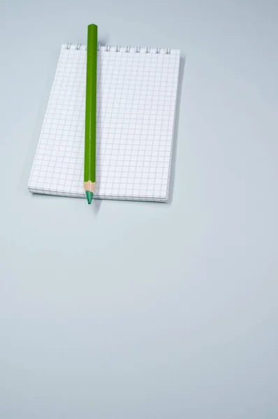 Tiro Vertical Caderno Lápis Verde — Fotografia de Stock