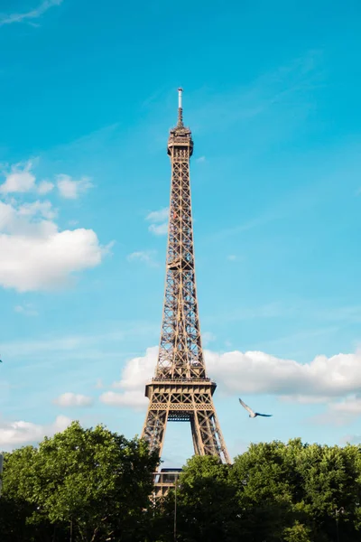 Eine Vertikale Aufnahme Des Eiffelturms Von Trocadero Gardens Paris Frankreich — Stockfoto