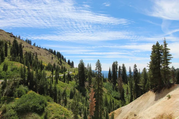 木々に覆われた山の風景の美しいショット — ストック写真