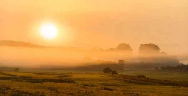 Eine Atemberaubende Landschaft Mit Grünem Gras Unter Dem Wunderschönen Sonnenuntergangshimmel — Stockfoto