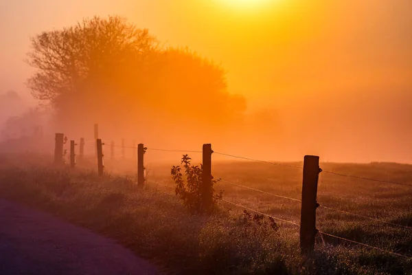Туманное Раннее Летнее Утро Германии — стоковое фото