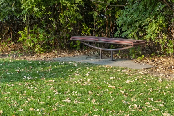 森林里的一个空金属长椅 — 图库照片