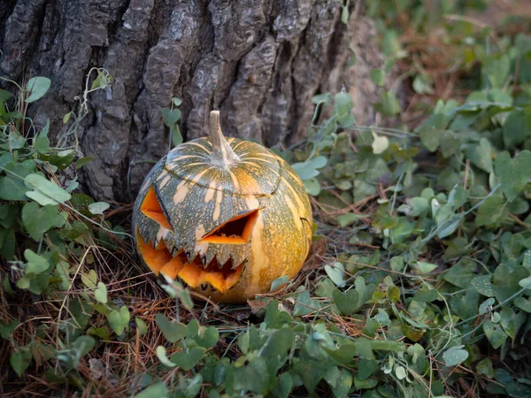 Primer Plano Una Calabaza Aterradora Para Una Fiesta Halloween — Foto de Stock