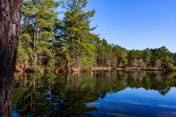 Lake Surrounded Trees Green Sunder Blue Sky — Stock Photo, Image