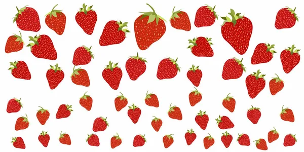 Eine Panoramische Illustration Von Erdbeeren Auf Weißem Hintergrund — Stockfoto