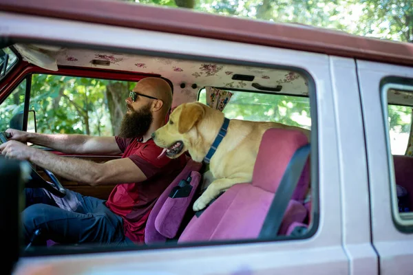 Maschio Caucasico Cavalca Sua Auto Con Suo Golden Retriever — Foto Stock