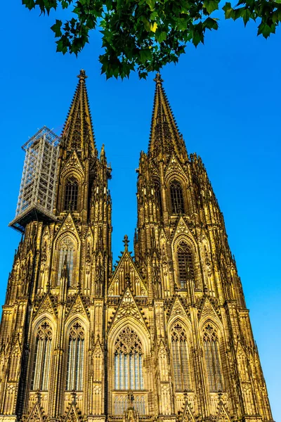 Uma Foto Vertical Catedral Colônia Alemanha — Fotografia de Stock