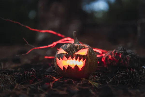 Halloweenpumpa Med Läskigt Ansikte Torrt Gräs — Stockfoto