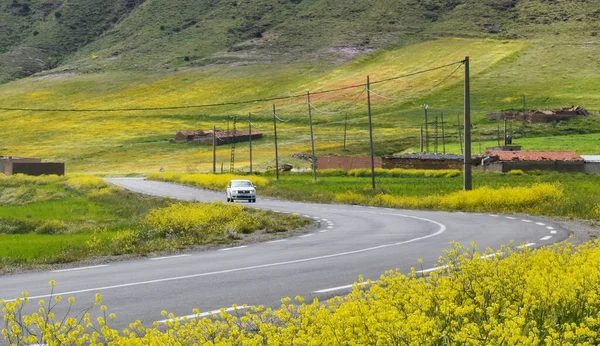 Carro Dirigindo Uma Estrada Cercada Pela Natureza Hipnotizante — Fotografia de Stock