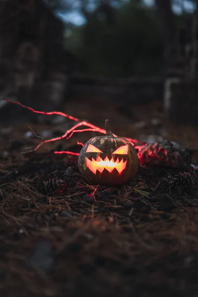 Ein Halloween Kürbis Mit Einem Gruseligen Gesicht Auf Trockenem Gras — Stockfoto