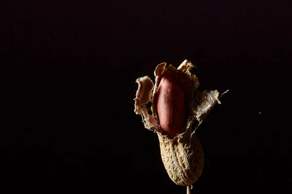 黑色背景的花生特写照片 — 图库照片