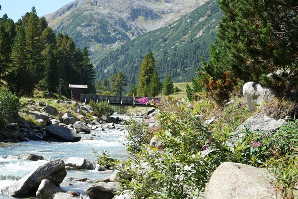 Paisaje Soleado Hermoso Paisaje Con Río —  Fotos de Stock