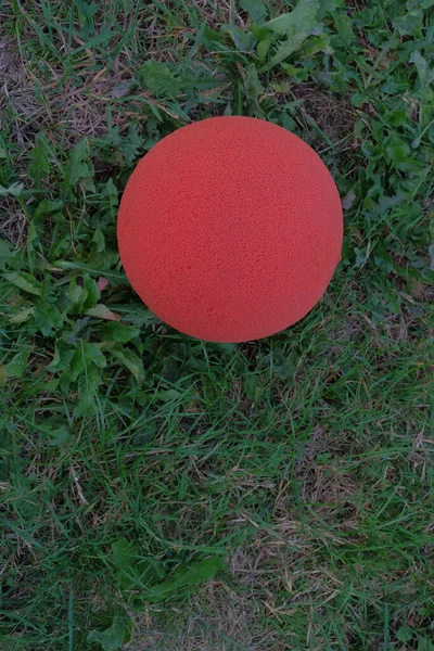 小红球的一个垂直镜头 — 图库照片