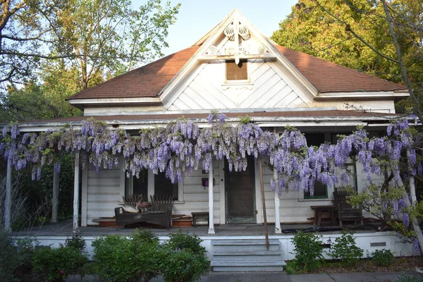 Ein Schönes Landhaus Mit Blumen Die Vom Dach Hängen — Stockfoto