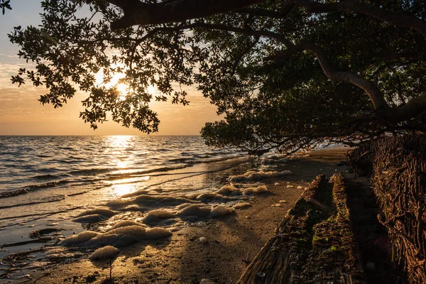 Das Wellige Meer Das Unter Dem Sonnenuntergang Glitzert Großartig Für — Stockfoto