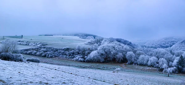 Uno Splendido Scenario Una Strada Circondata Sacco Alberi Coperti Neve — Foto Stock