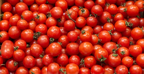 Gros Plan Tomates Cerises Fraîches Bouquet — Photo