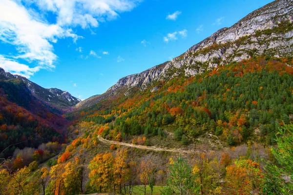 Paysage Serra Del Cadi Recouvert Montagnes Rocheuses Arbres Colorés Automne — Photo