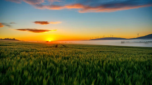 Una Vista Impresionante Puesta Sol Sobre Campo Cultivo — Foto de Stock