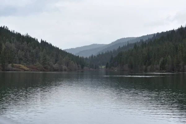 Lago Rodeado Bosque Durante Día —  Fotos de Stock