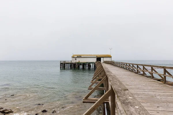 Kaliforniya Point Reyes Ulusal Deniz Kıyısında Sisli Bir Havada Bir — Stok fotoğraf