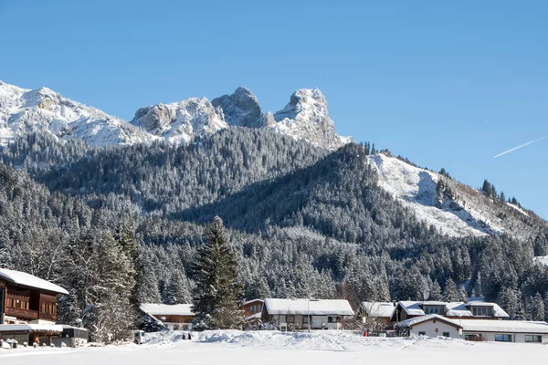 Krásná Krajina Alpách Zasněženými Vrcholky Hor Jedlemi Obytnými Domy Popředí — Stock fotografie