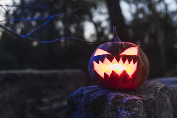 Halloweenpumpa Med Läskigt Ansikte Sten Skog — Stockfoto